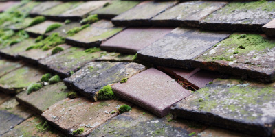 Thame roof repair costs